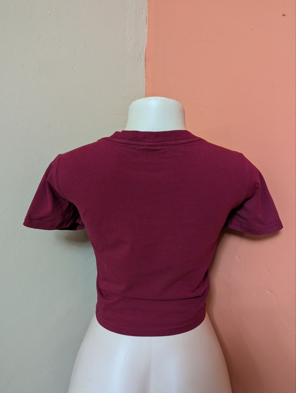 Vintage Desert Van Graphic Crop Top – Maroon Boho Summer Tee for Women (THRIFT)